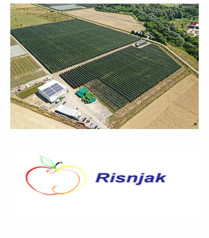 EPIK referenca: Distributivni centar za voće i sortirnica